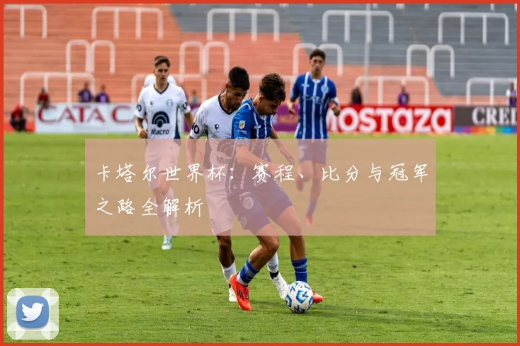 卡塔尔世界杯：赛程、比分与冠军之路全解析